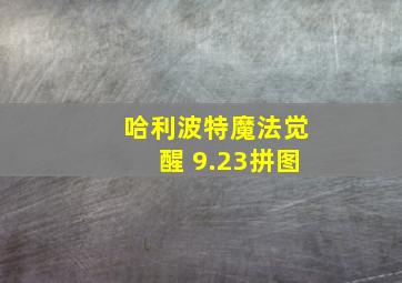 哈利波特魔法觉醒 9.23拼图